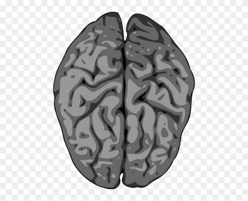 Free Vector Grey Brain Clip Art - Brain Clip Art #474657