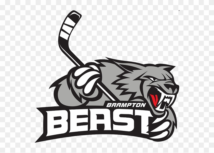Nov - - Beast Hockey #474799