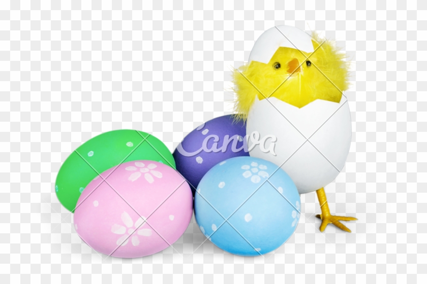 Baby Chicken And Easter Eggs - Easter #475176
