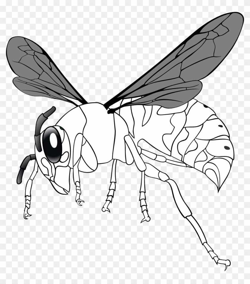Bee Bot Clipart - Net-winged Insects #475483