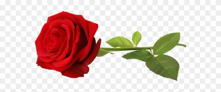Love Red Rose Single Png Clip Art - Rose Transparent Png #475865