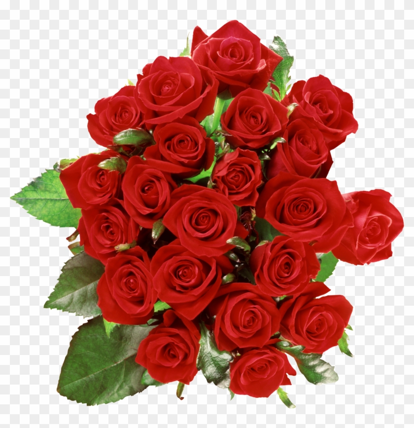 Rose Flower Png #475879