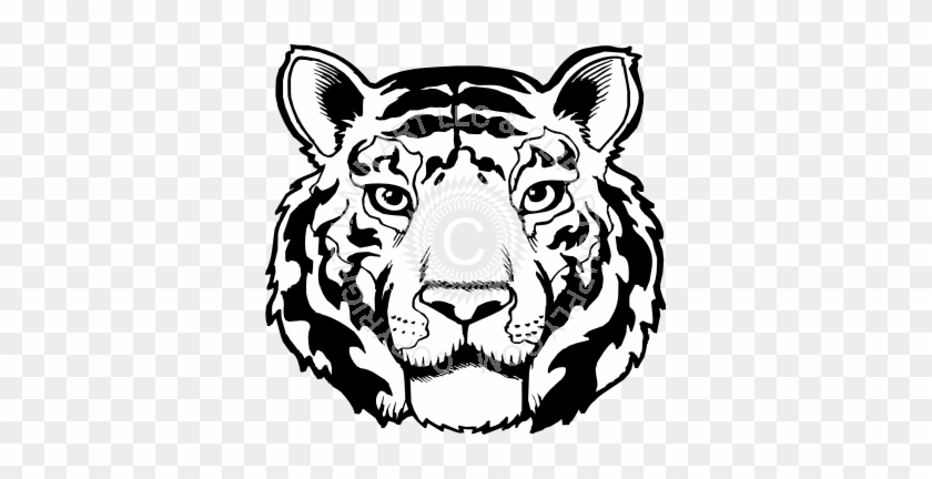 Tiger Clipart Black And White #477047