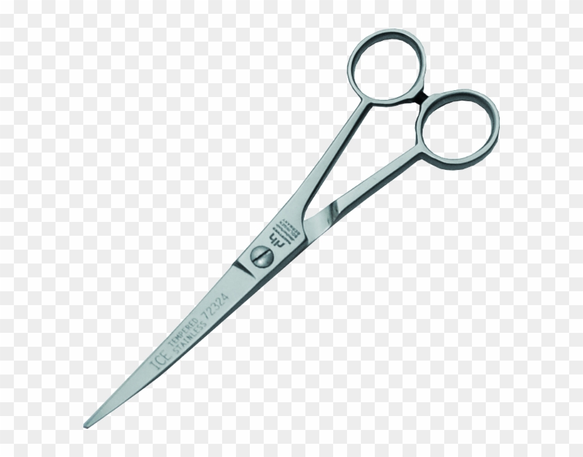 Hauptner Curved Grooming Scissor - Scissors #477117
