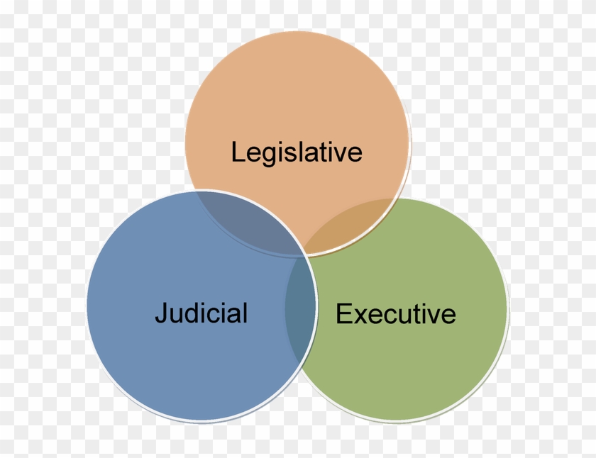 The Legislative Branch Passes Laws - Circle #477121