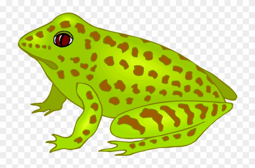 Winsome Inspiration Frog Clipart Green And Brown Spotted - Spotted Frog Clipart #477125