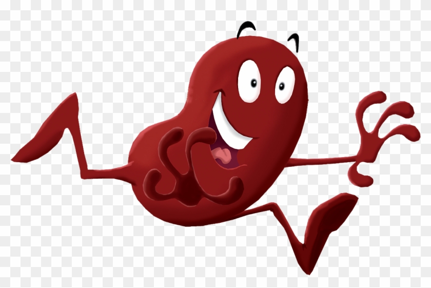 Kidney Happy - Kidney #477672