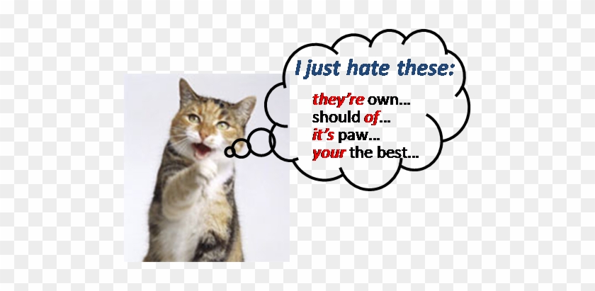 Pet Hates - Talk To The Paw.png Pillow Case #477953