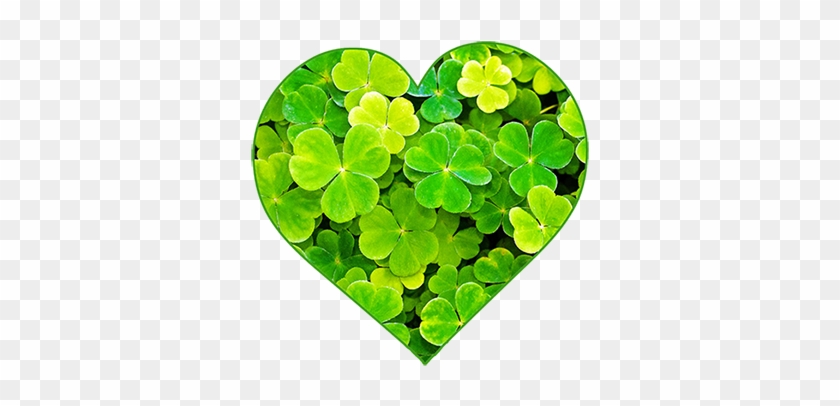 Picturesque Design Ideas St Patricks Day Clipart Patrick - Greenwood Village #478168