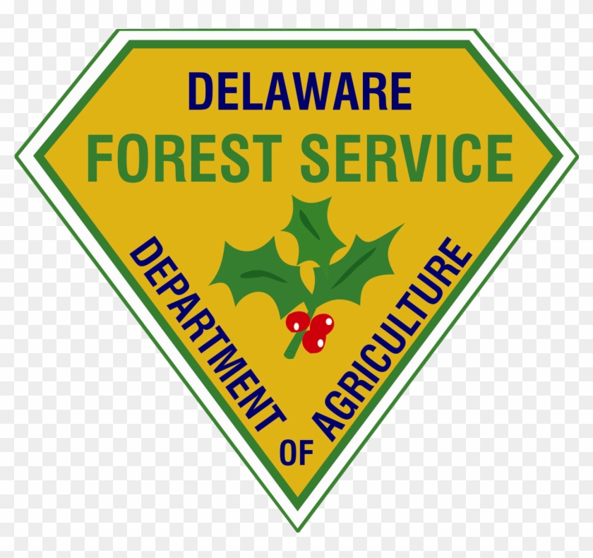 2018 Arbor Day School Poster Contest For Grades K To - Delaware Forest Service Logo #478377