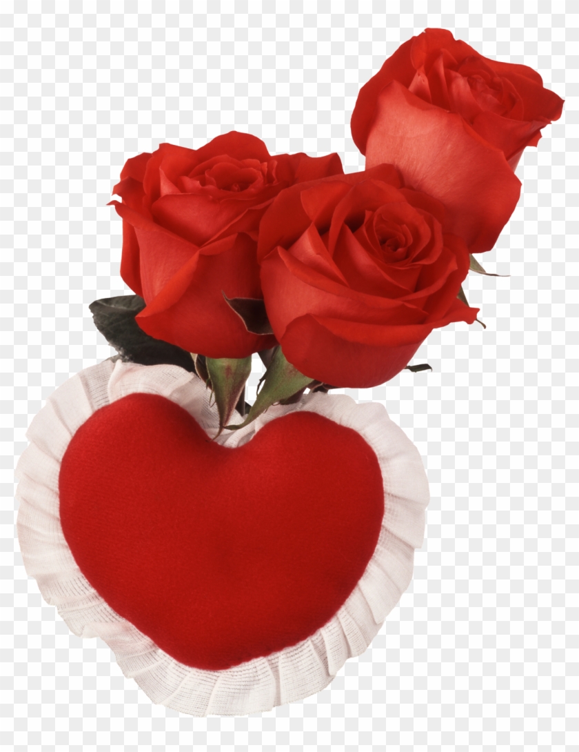 Red Heart And Roses - Love You Images With Name - Free Transparent ...