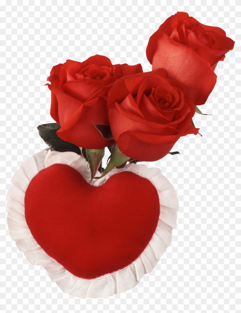 Red Heart And Roses - Love You Images With Name #478759