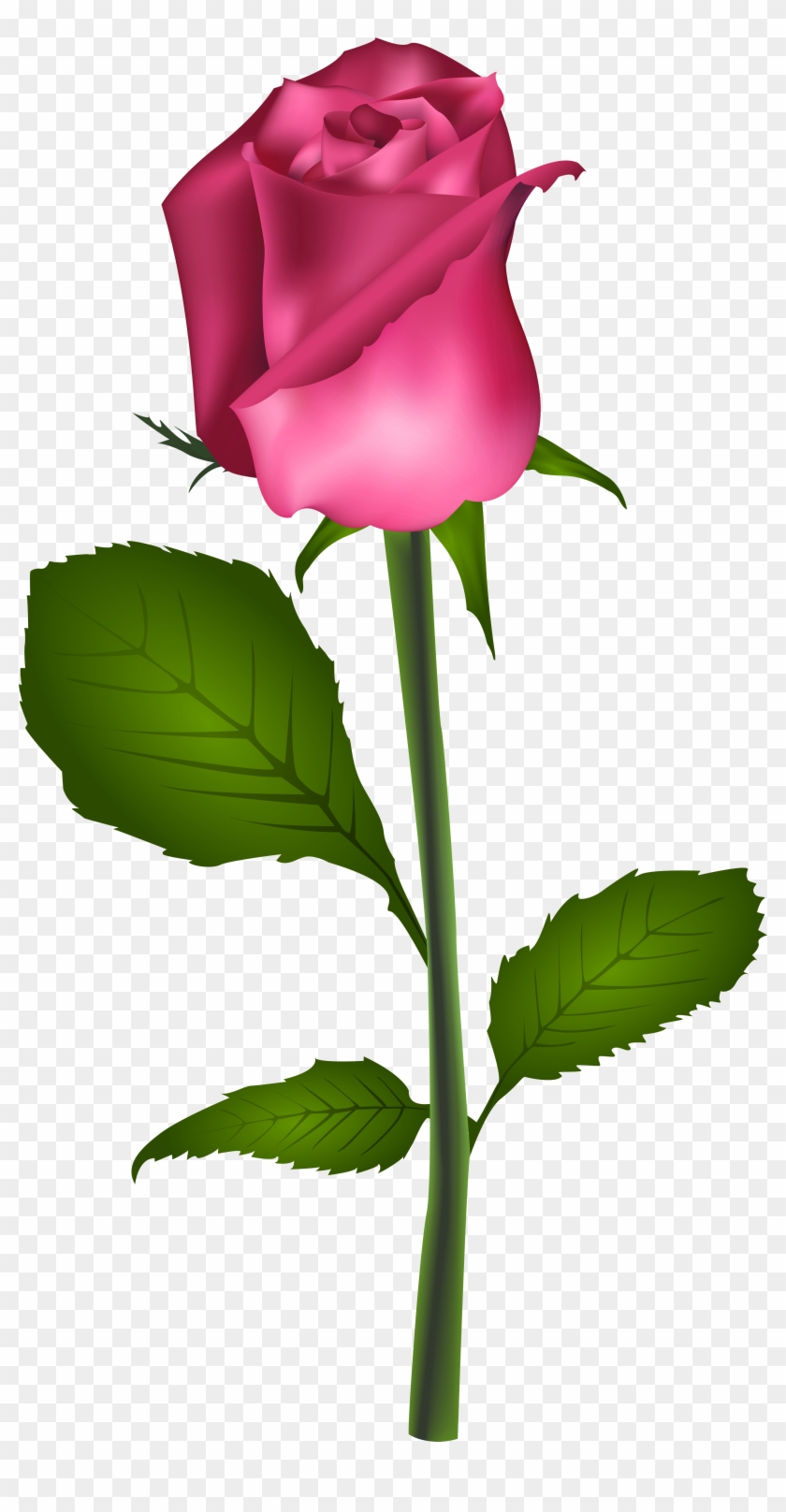 Blue Rose Flower Best Roses Clip Art - Blue Rose Flower Best Roses Clip Art #479138