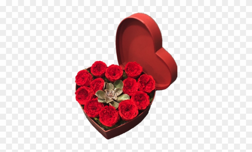 12 Preserved Red Rose Heart Box With Succulent - Rose #478771