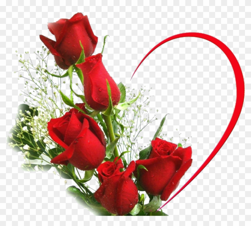 Desktop Wallpaper Rose Love Flower Stock Photography - Beautiful Love Rose Flowers #478793