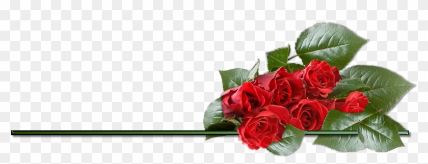 Clipart Rose Png Best Image - Valentines Day Beautiful Roses #478908