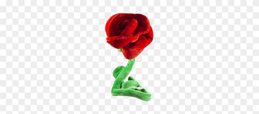 Rose #479147