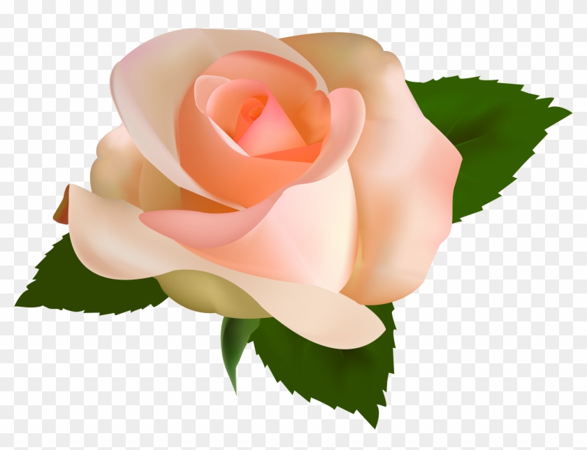 Peach Rose Png #479162