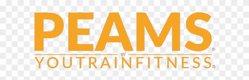 Fitness Training And Equipment Company - Team Standards #479203