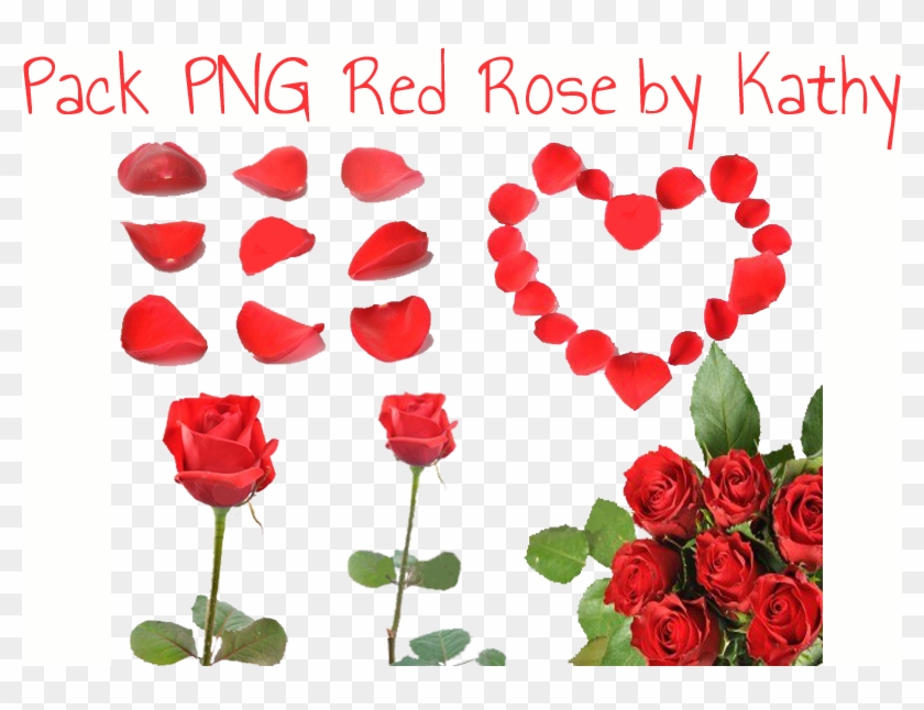 Pack Png Red Rose By Kathy By Fanyfantastic - Garden Roses #479262