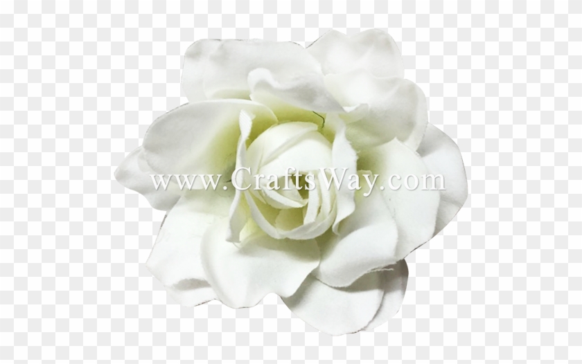 Silk Gardenia - Garden Roses #479313
