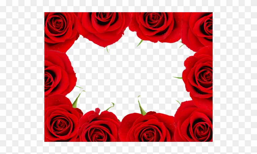 Red Rose Frame - Frame Of Red Roses #479384