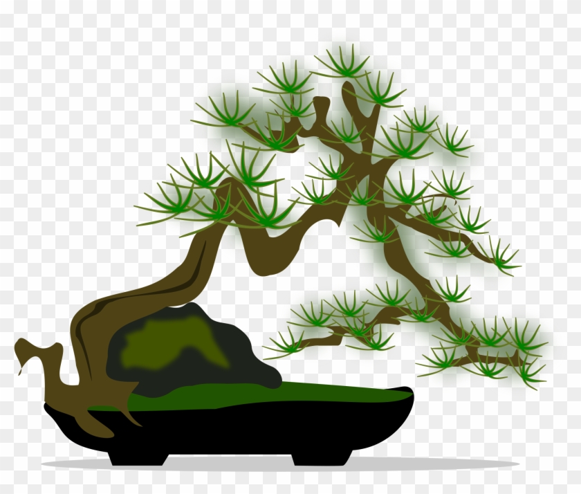 Bonsai Tree Clipart - Sageretia Theezans #479404