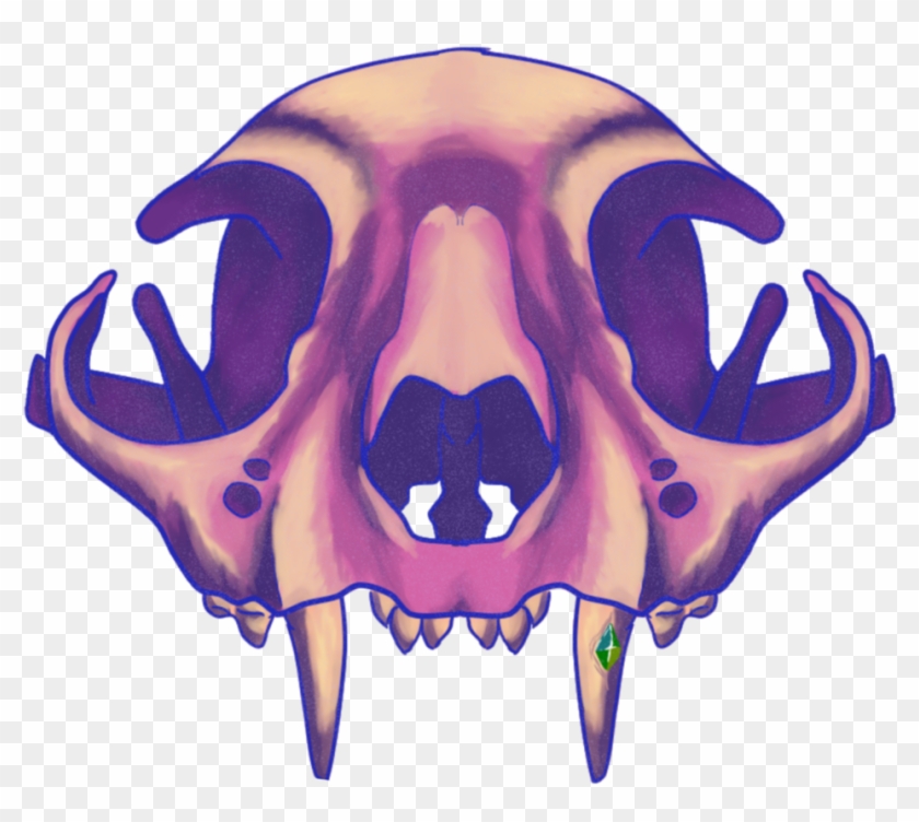 Cat Skull By Hazel-fay - Illustration #479572