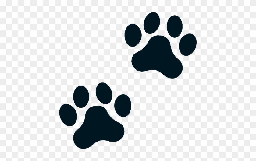 Welcome To Boston Terrier Memorials - Cat #479909