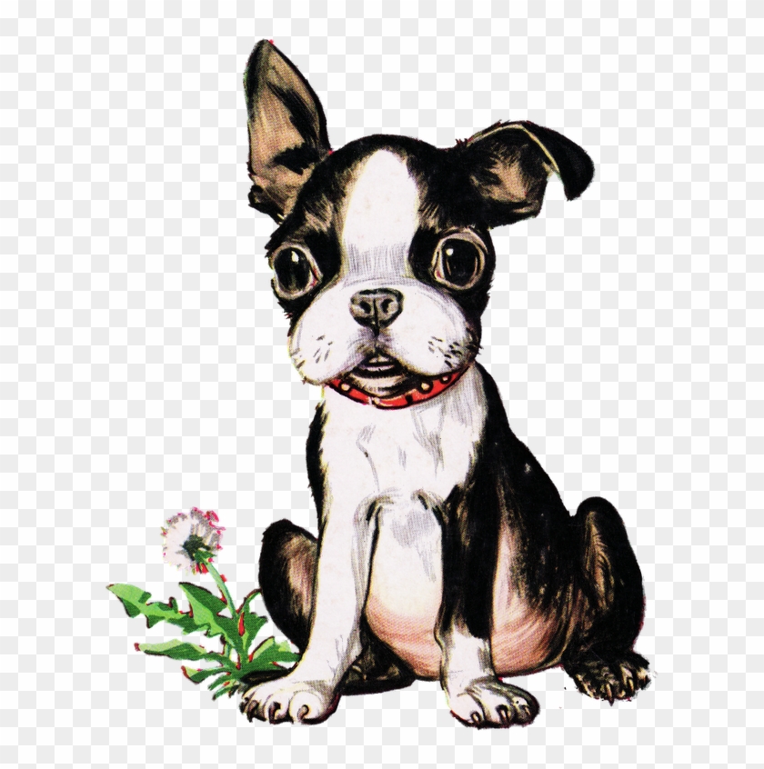 Vintage Boston Terrier Puppy - Boston Terrier Vintage Puppy Art Print - Mini #479914