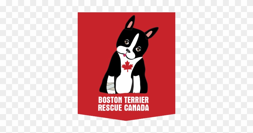 Boston Terrier Rescue Canada Logo - Boston Terrier #480011