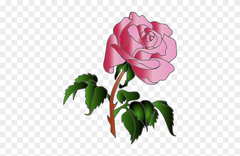 Rose #480079