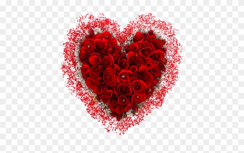 Happy Valentine's Day - Garden Roses #480342