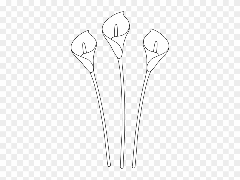 Calla Lily Clipart Line Drawing - Calla Lily Line Drawing #480875