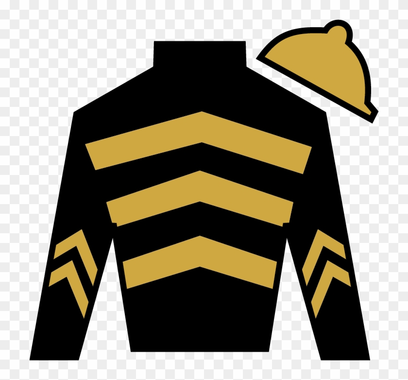 8 - - Calumet Farm Racing Silks #481236