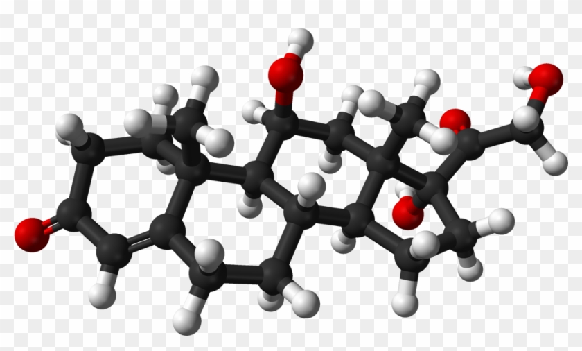 Kentucky Derby Clip Art Free - Cortisol Molecule #481301