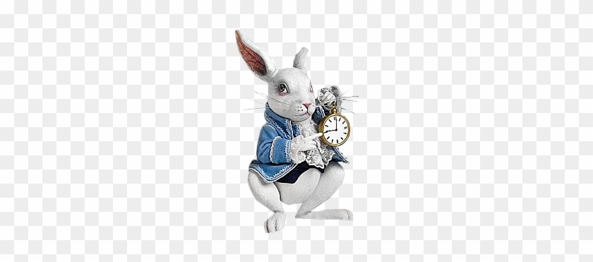 0 D94e6 9a63ee3 Xl - Alice In Wonderland White Rabbit #481727