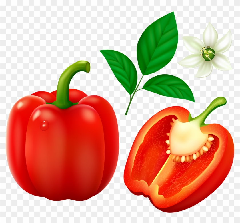 Red Pepper - Bell Pepper #481739