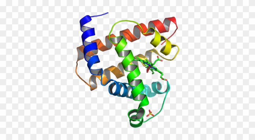 Unknown Clipart Etiology - Do Proteins Look Like #481815