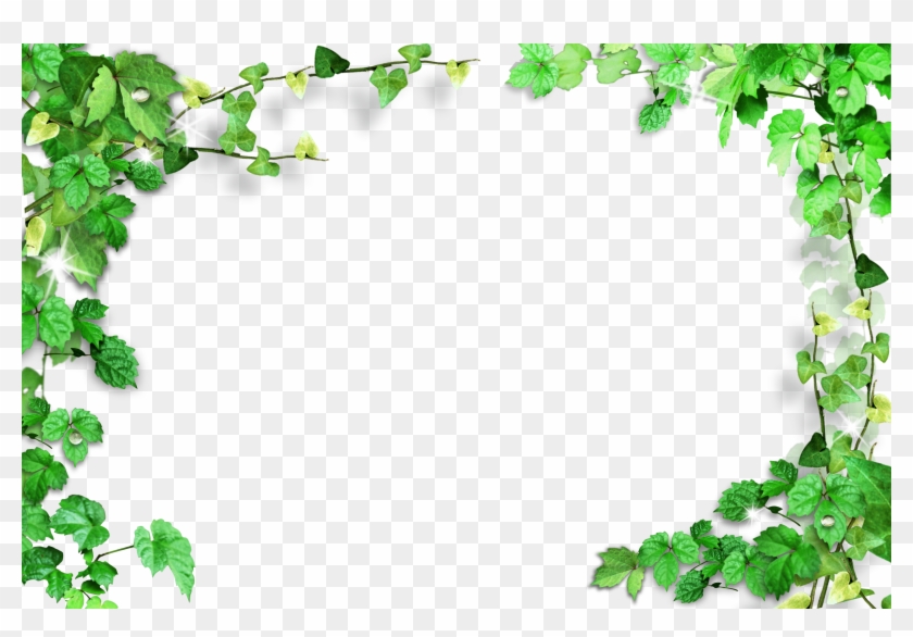 Green Leaves Frame,plant Frame - Green Leaves Background Png #482352