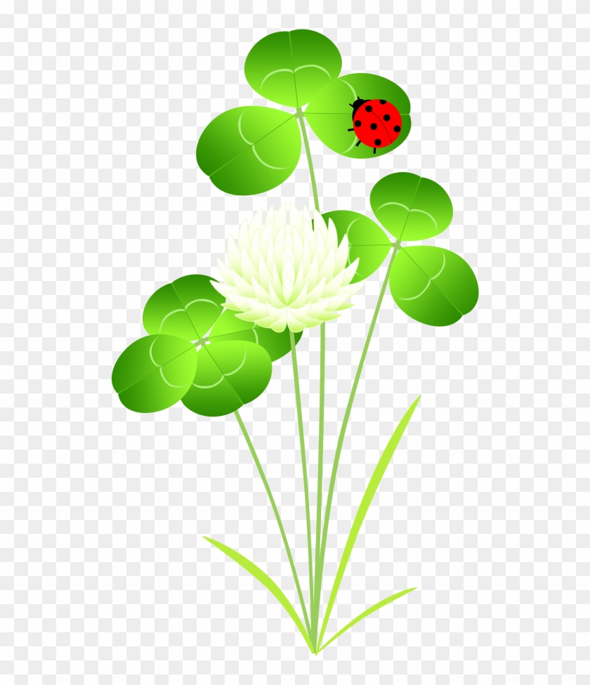 素材 透過png ダウンロード Floral Design Free Transparent Png Clipart Images Download