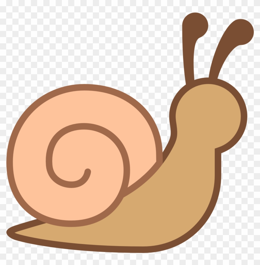 Mollusc Clipart Snail Shell - Slug #483442