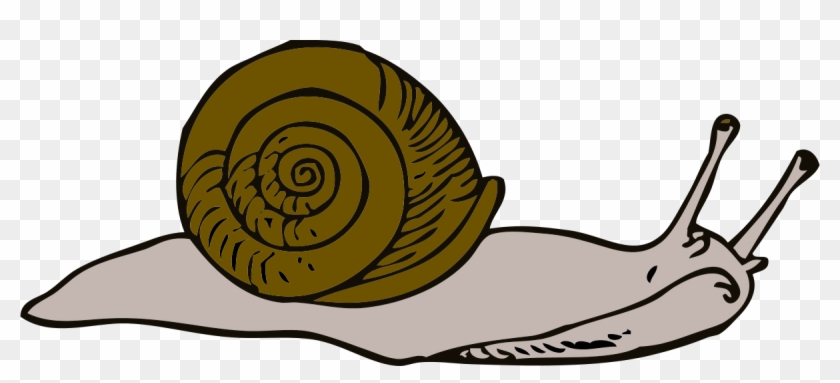 Snail Cliparts 10, - Snail Clipart #483470