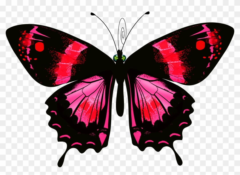 Butterfly - Butterfly #483476