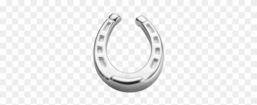 Horseshoe #483565