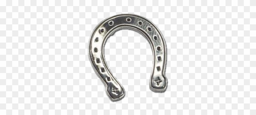 00 Buy Now - Lucky Horseshoe Pin #483682