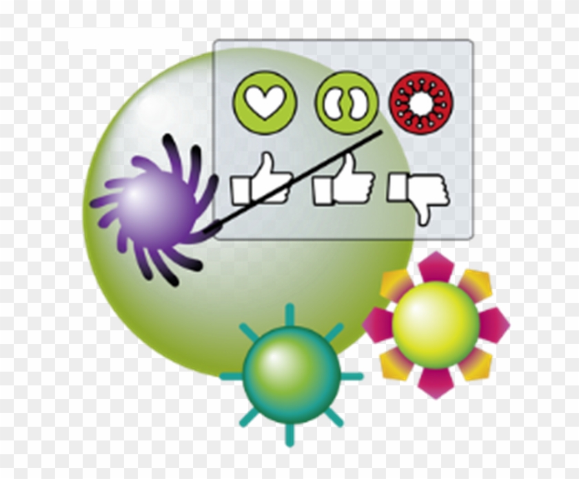 Immune-system Learning - Immune-system Learning #483998