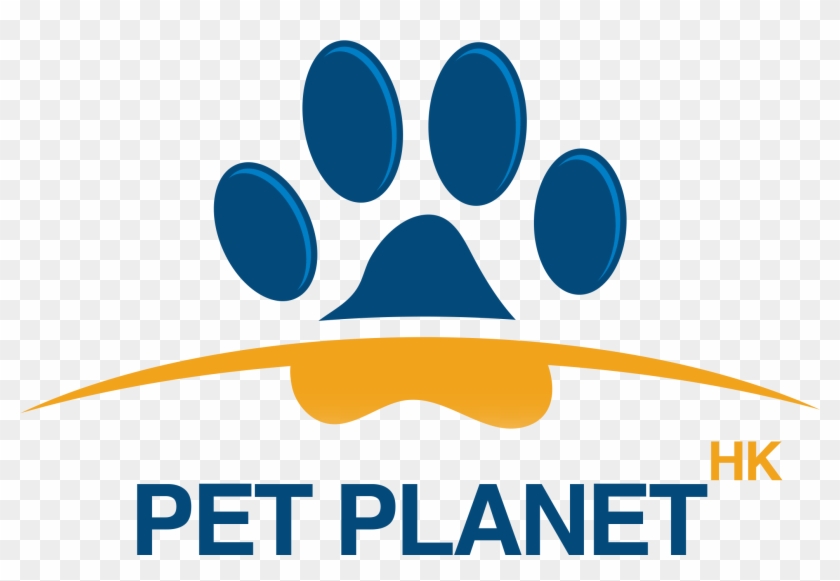 Dog Harness Puppy Pet Dog Collar - Dog Harness Puppy Pet Dog Collar #484087