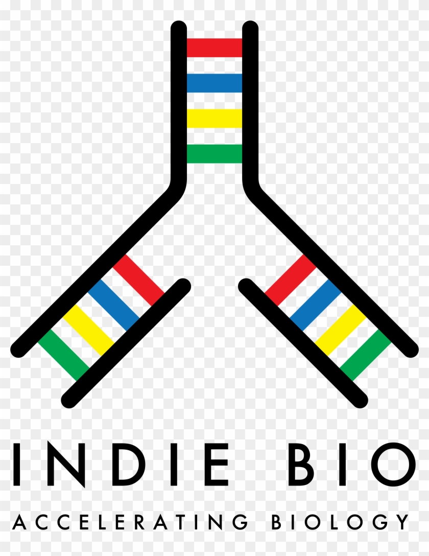 Indiebio Logo-large - Indie Bio Logo Png #484078