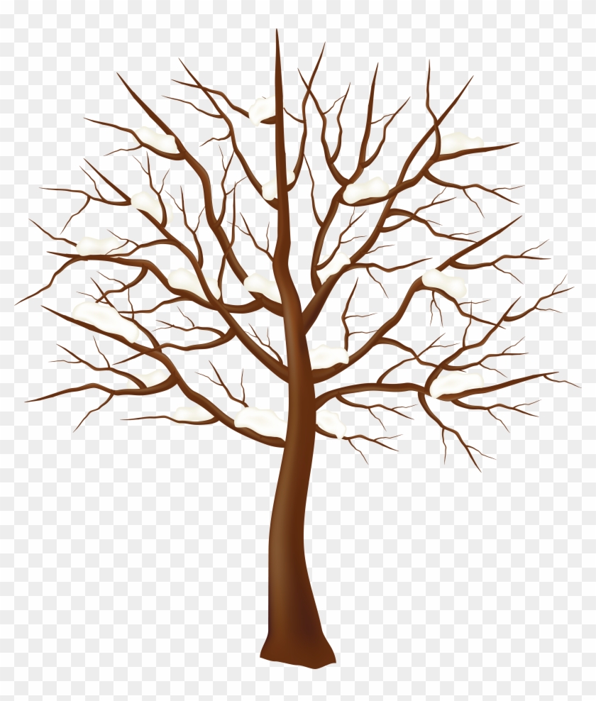 Tree Winter Clip Art Tree Winter Clip Art Free Transparent Png Clipart Images Download Find high quality winter tree clipart, all png clipart images with transparent backgroud can be download for free! tree winter clip art tree winter clip